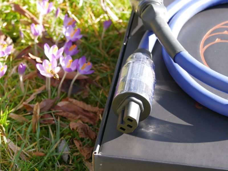 Cardas Clear Power Kupplung